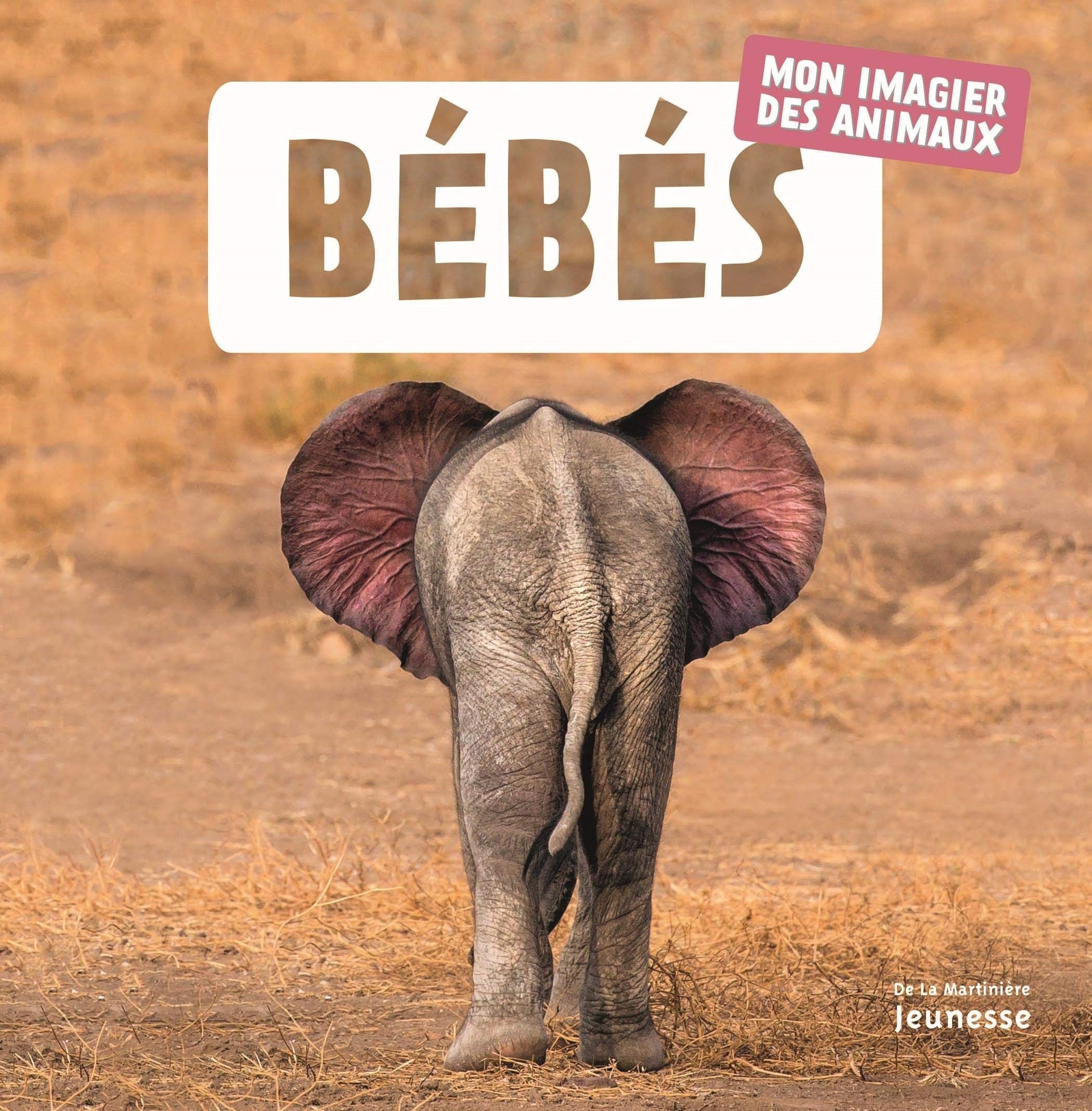 Bébés - Click to enlarge picture.