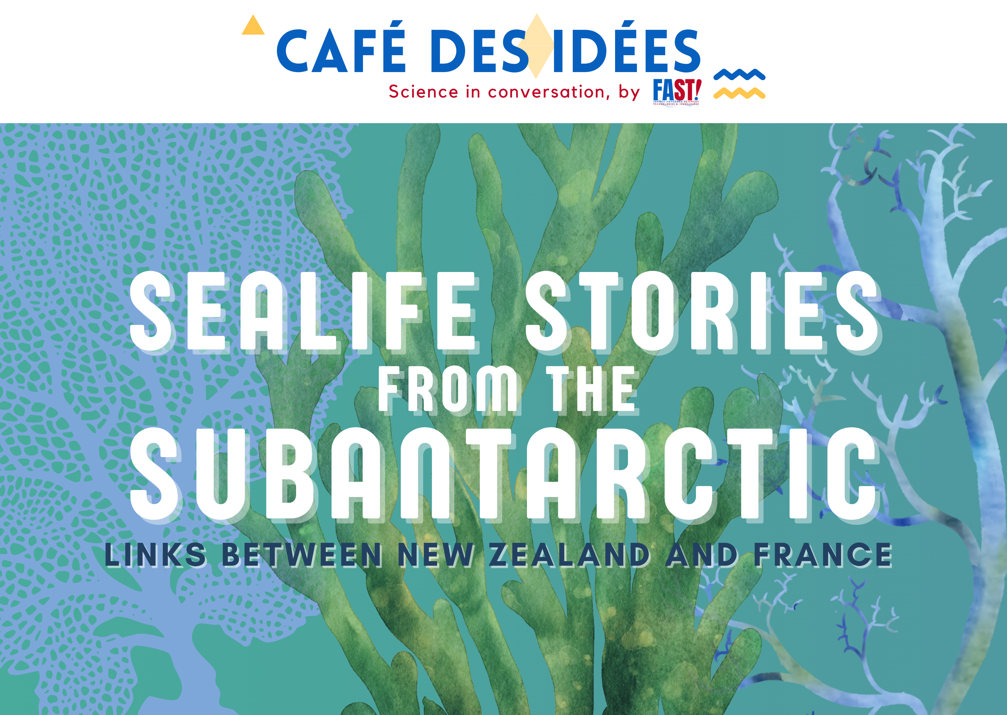Café des Idées in Wellington - Sealife stories from the subantarctic