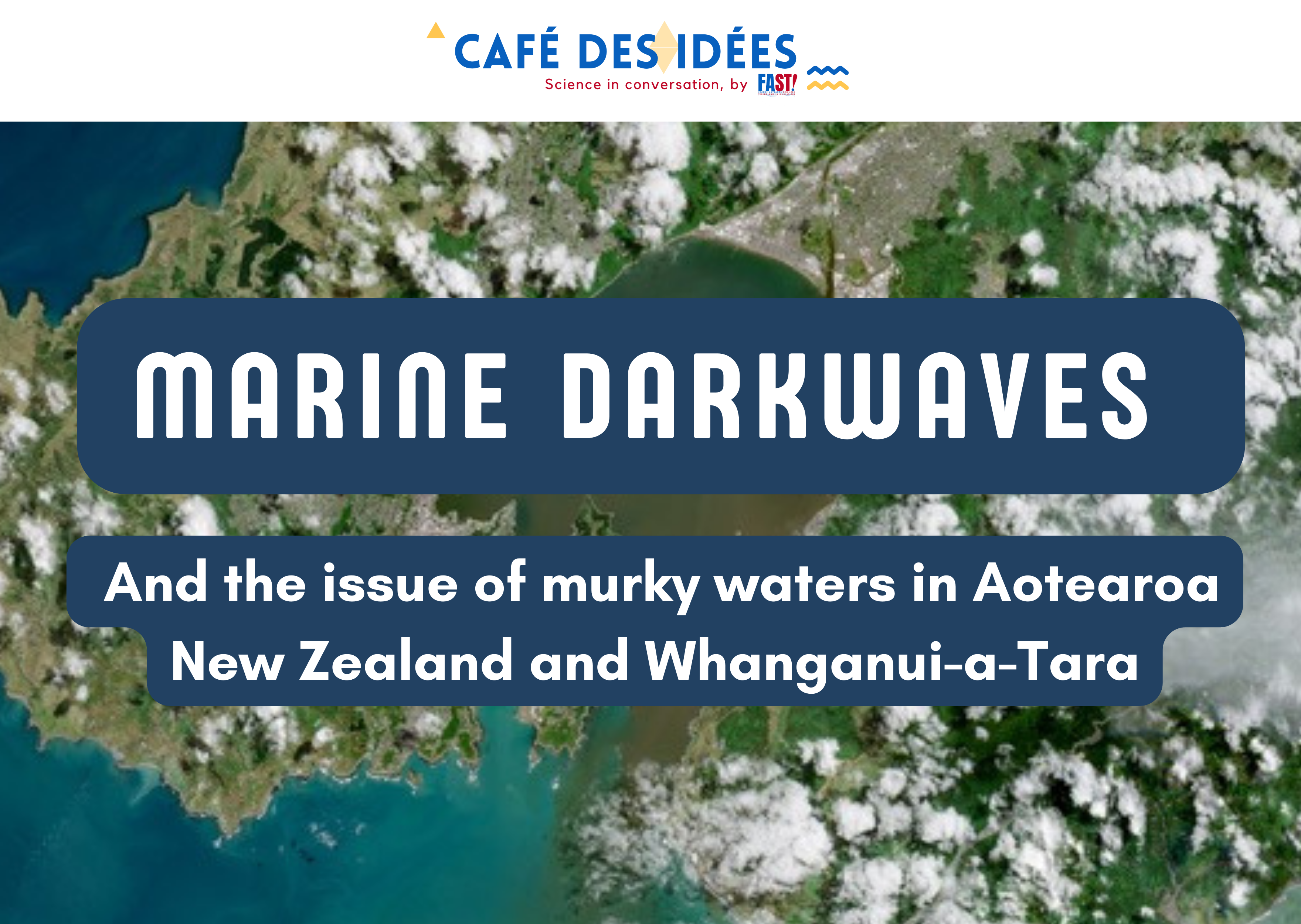 Café des Idées in Wellington - Marine darkwaves