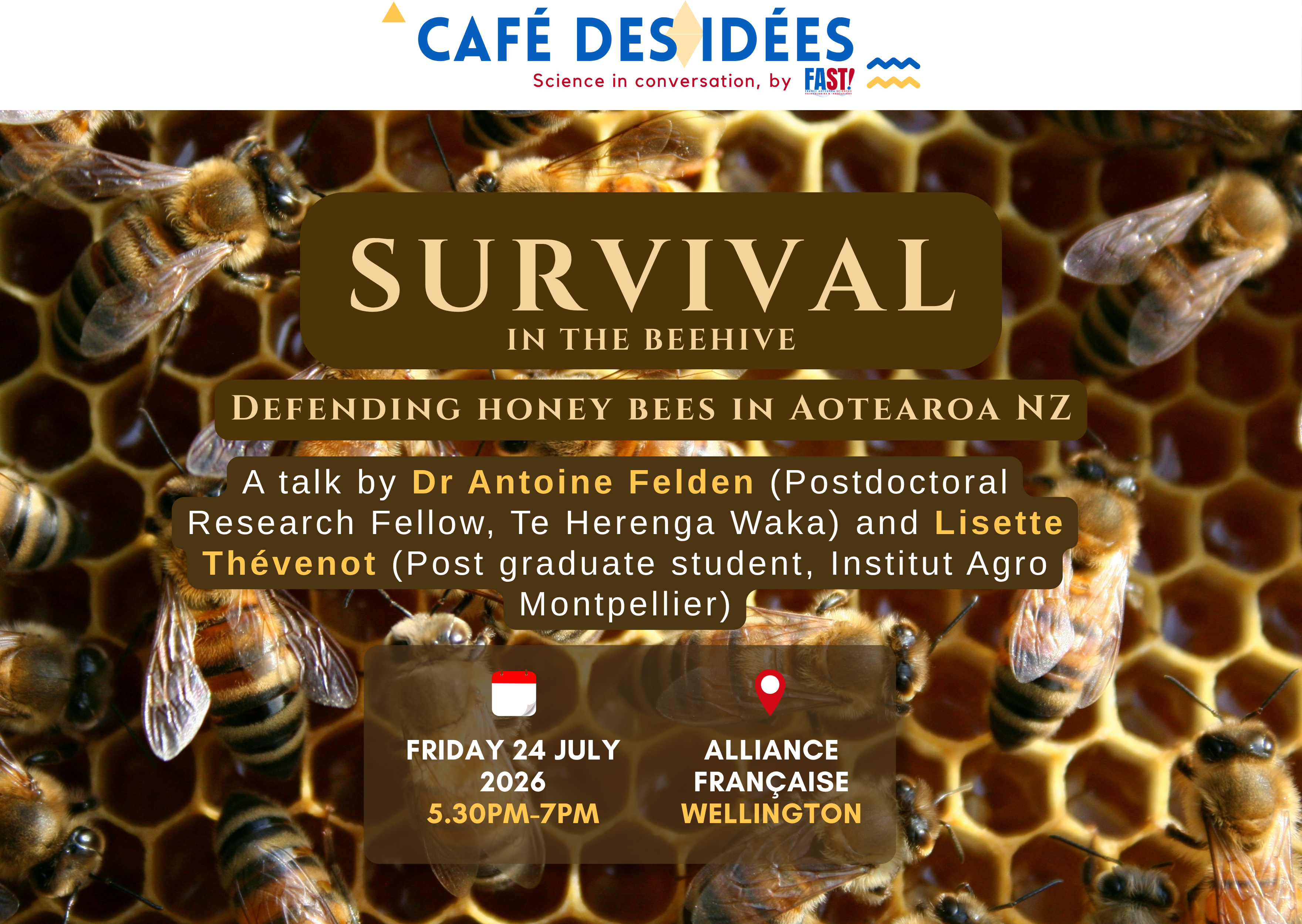 Café des Idées in Wellington - Survival in the beehive
