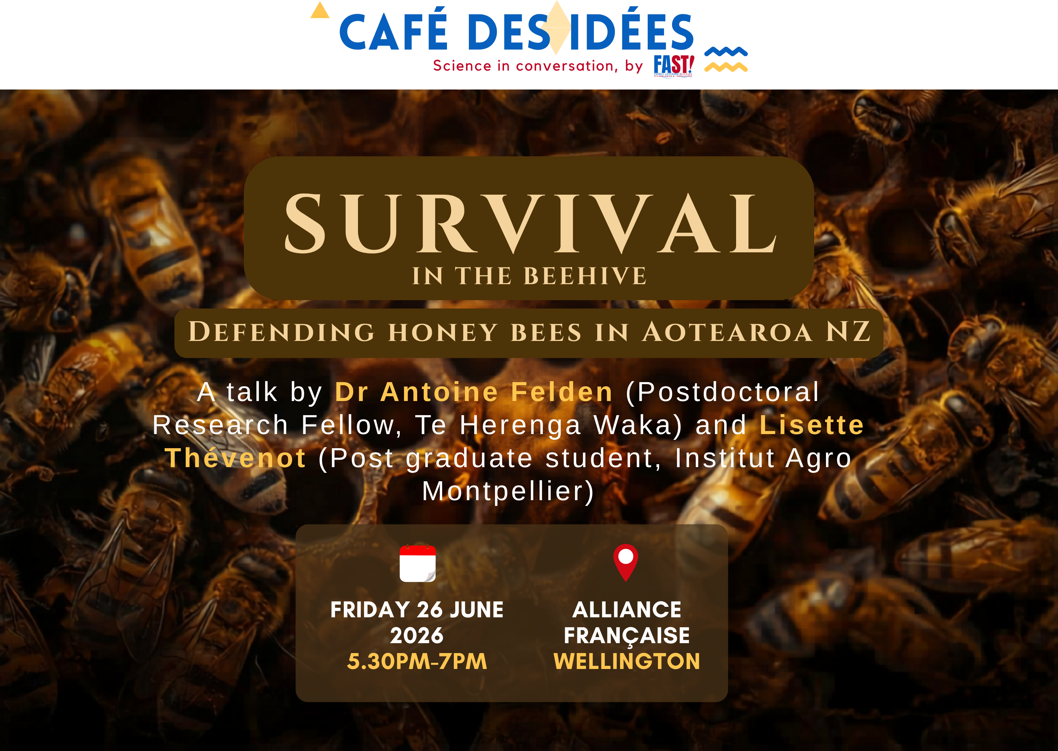 Café des Idées in Wellington - Survival in the beehive