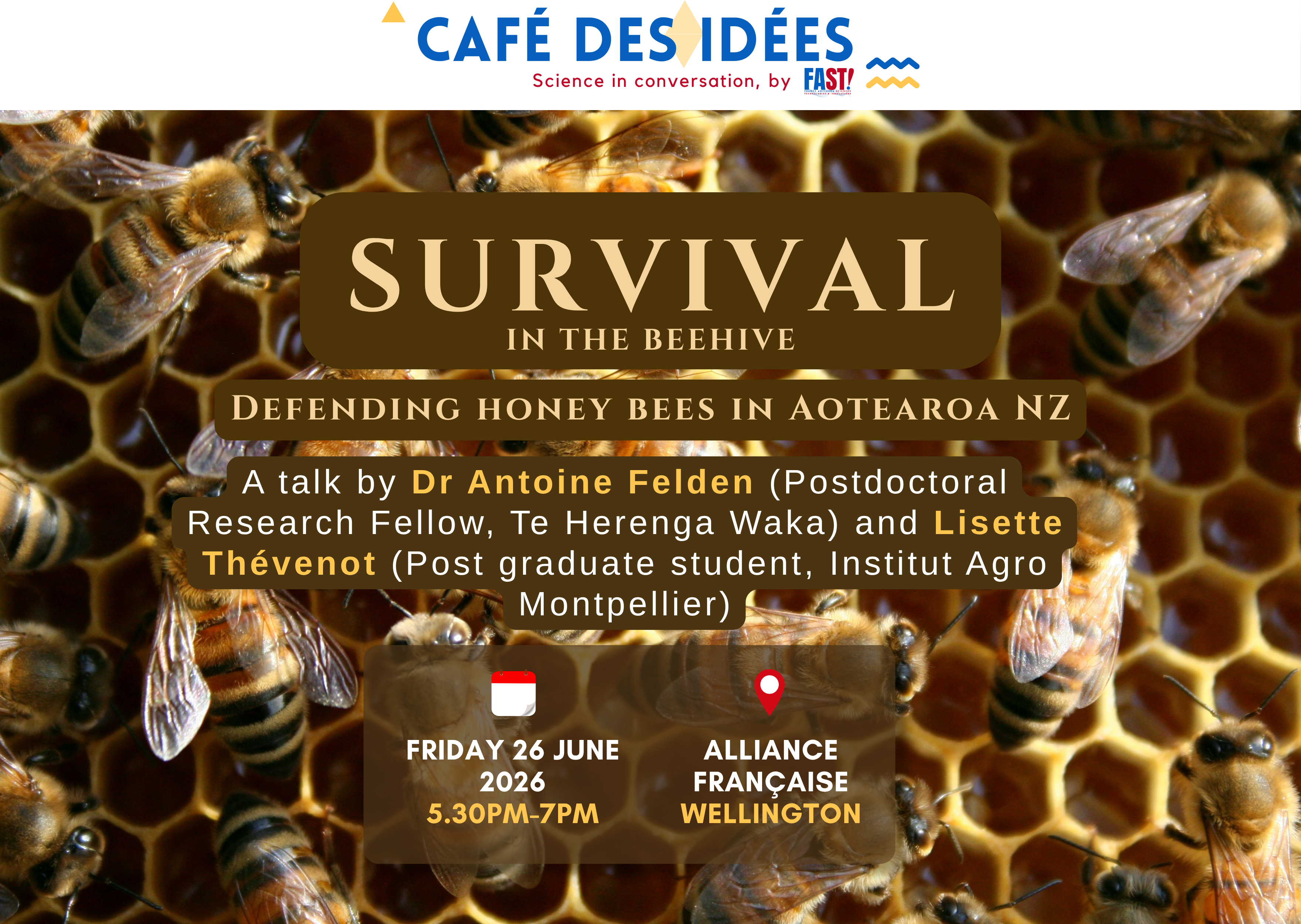 Café des Idées in Wellington - Survival in the beehive