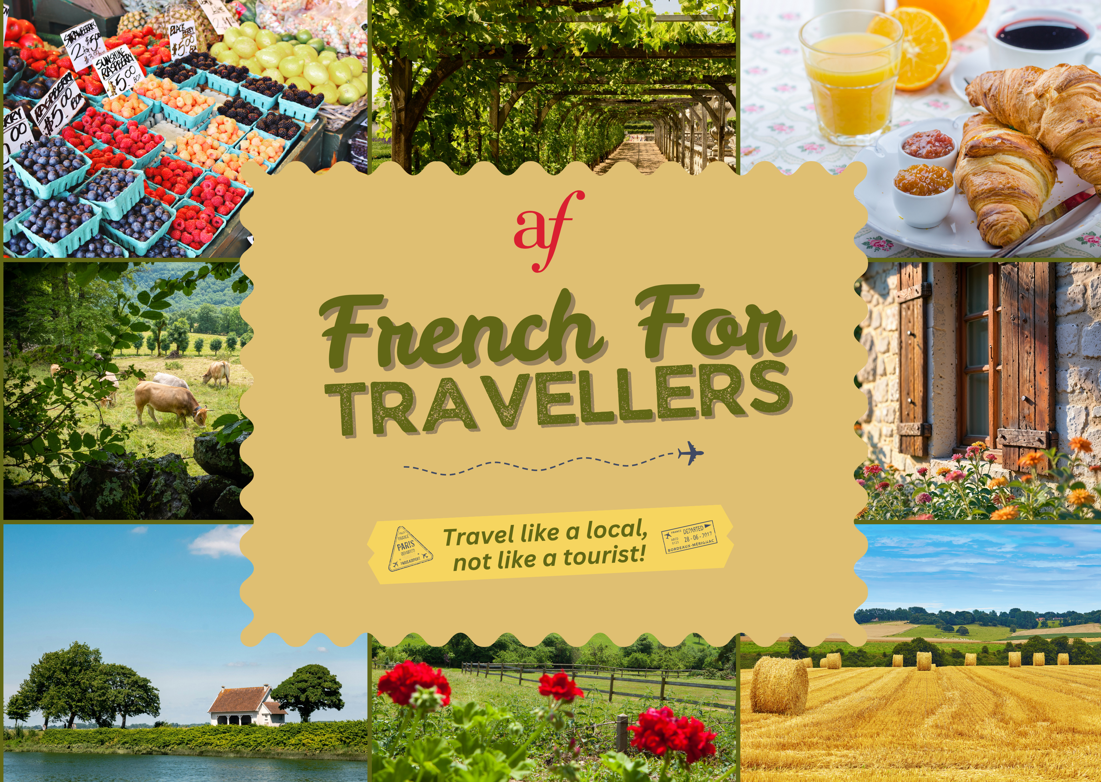 French For Travellers